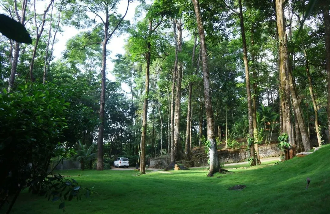 Blue Ginger Resort-1