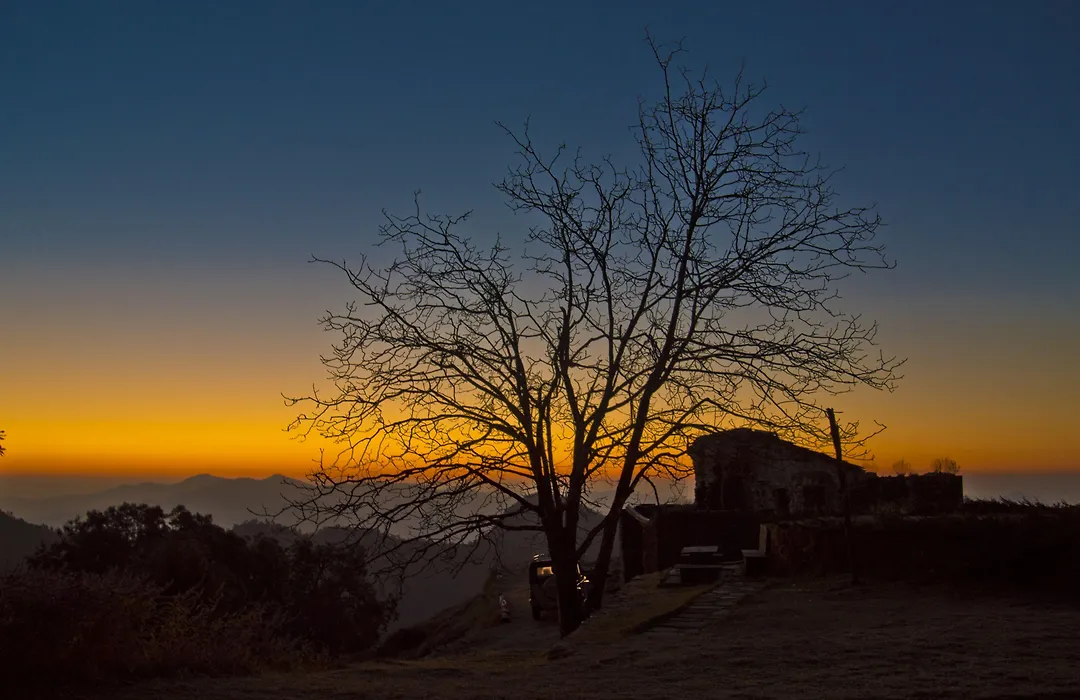Tree Of Life Grand Oak Manor, Binsar-1