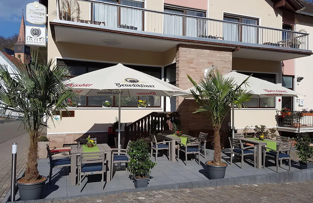 Hotel Ari-1