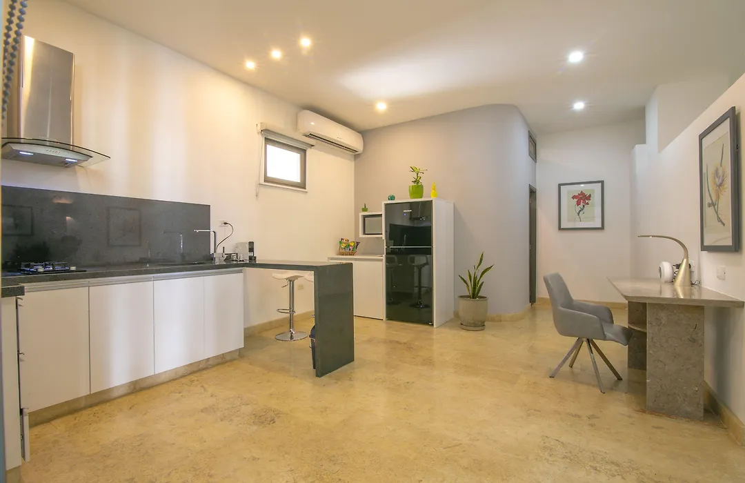 El Cactus Luxury Apartments In Historic Center-1