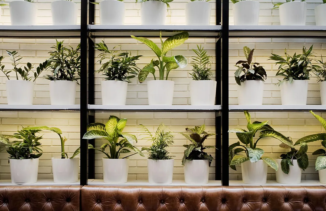 Praktik Bakery-1