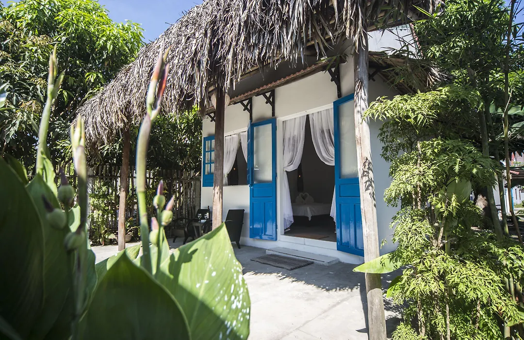 Cashew Tree Bungalow-1