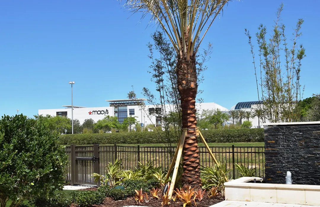 Residence Inn By Marriott Orlando At Millenia-1