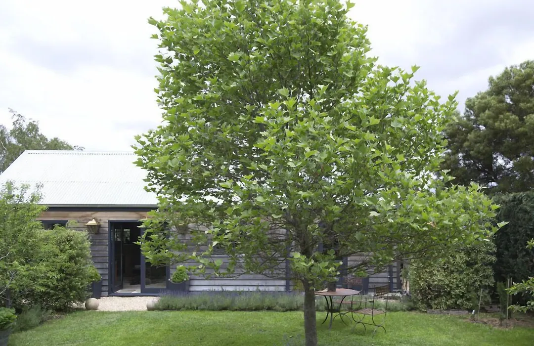 Elm Cottage Barn-1