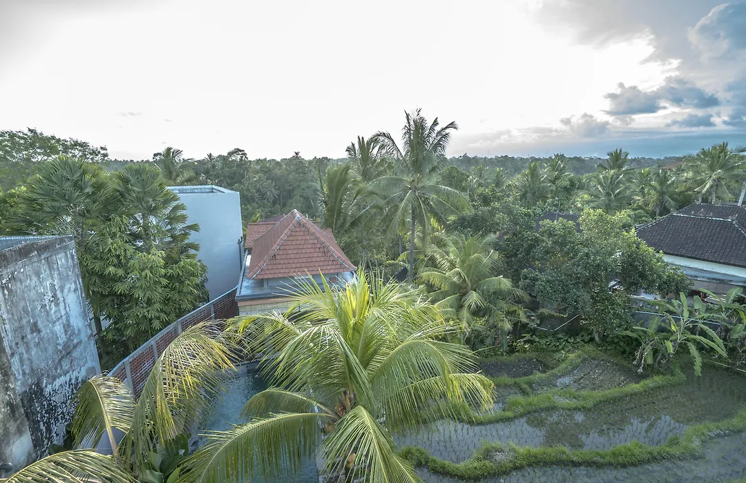 Adi Bisma Inn Ubud By Mahaputra-1