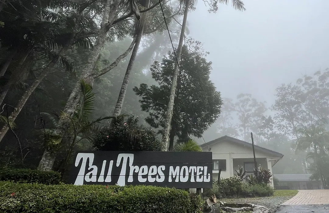 Tall Trees Motel Mountain Retreat-1