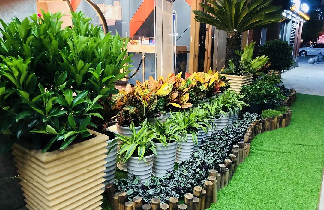 Holiday Inn Express Chengdu Tianhe By Ihg-1
