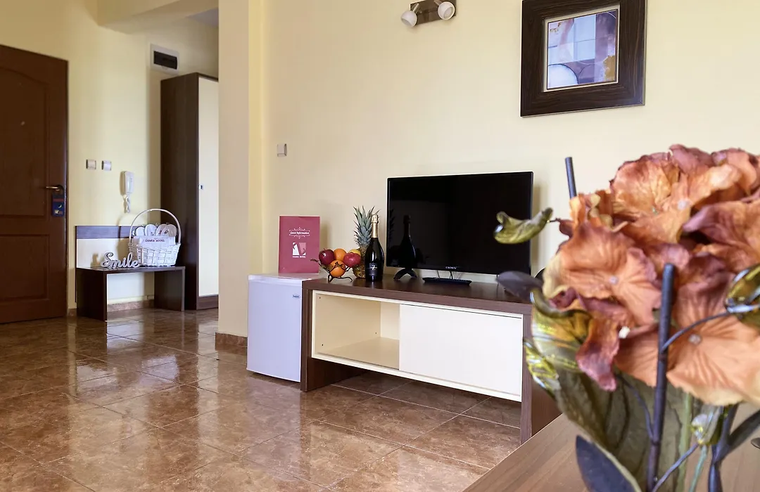 Hotel Zaara-1