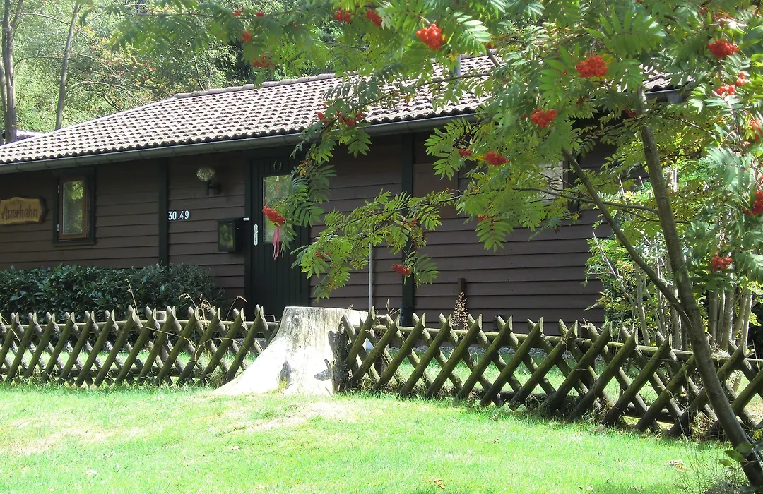 Waldsee Feriendienst 'Ferienpark am Waldsee'-1