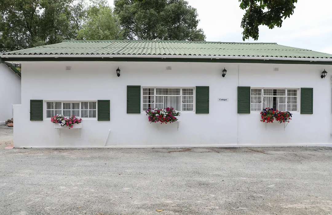 Green Olive Guesthouse-1