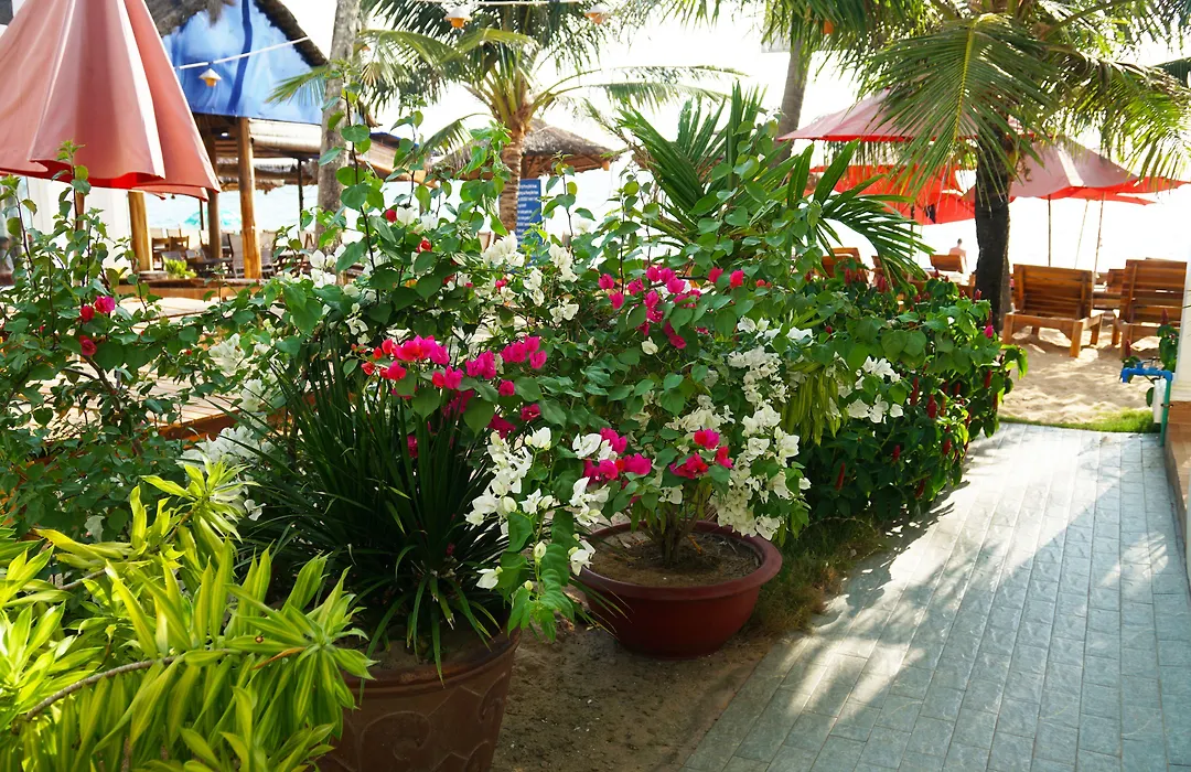 Phuong Binh House-1