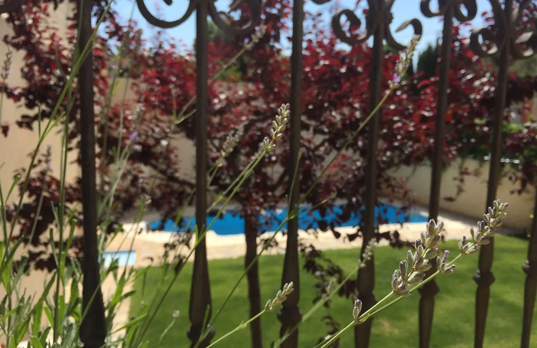 Hotel Castellote-1