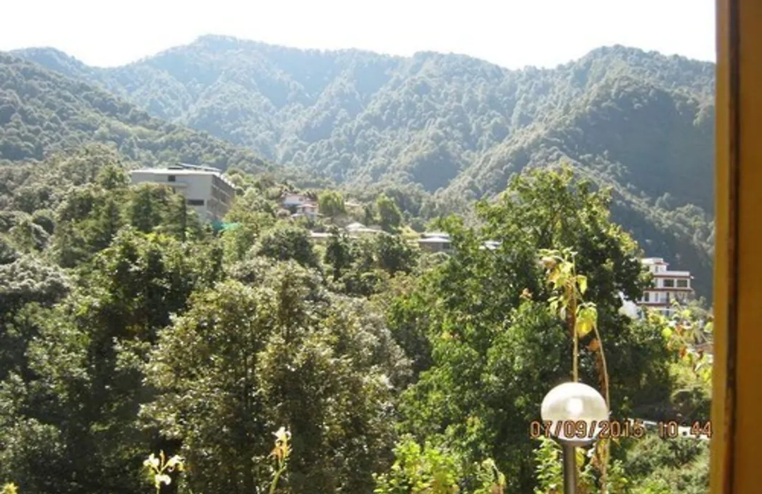 Janardan Resort Pangot - Nainital-1