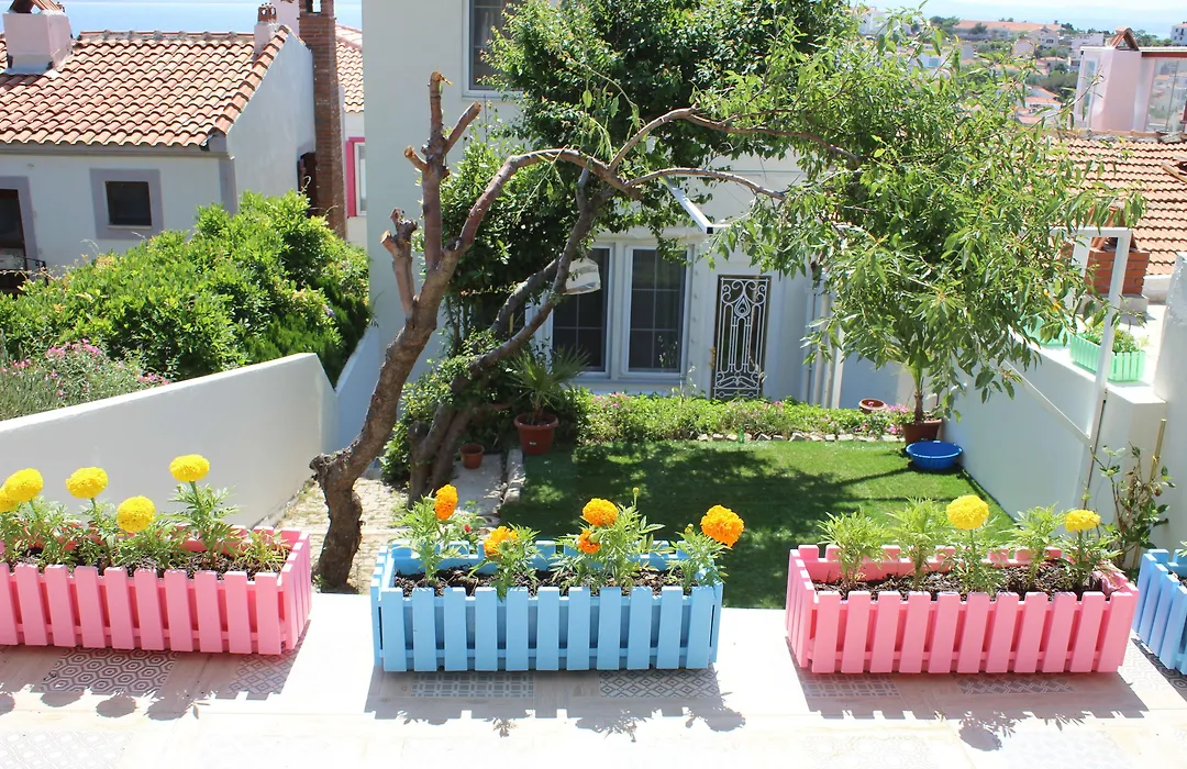 Bozcaada Denizyildizi Otel-1