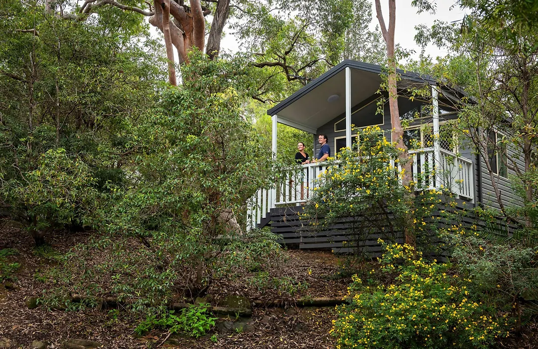 Discovery Parks - Lane Cove-1