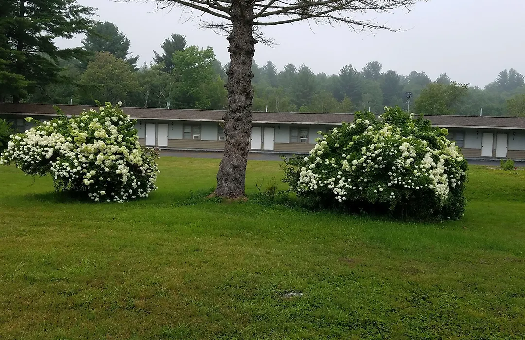 The Becket Motel-1