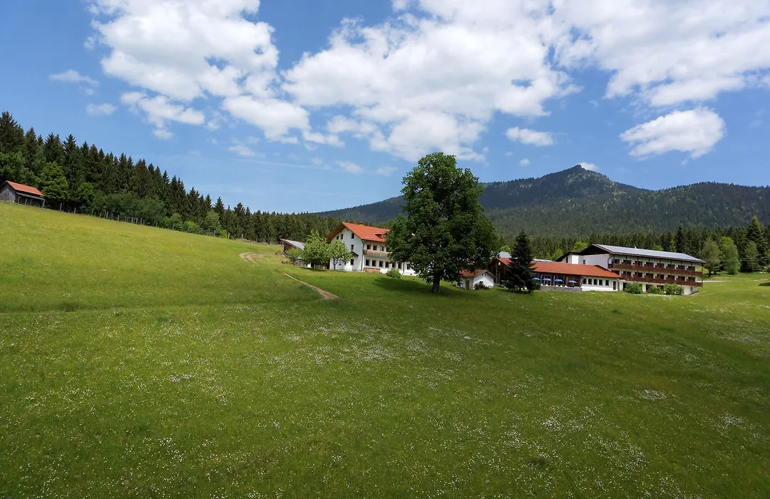 Osserhotel - B&B Am Osser-1
