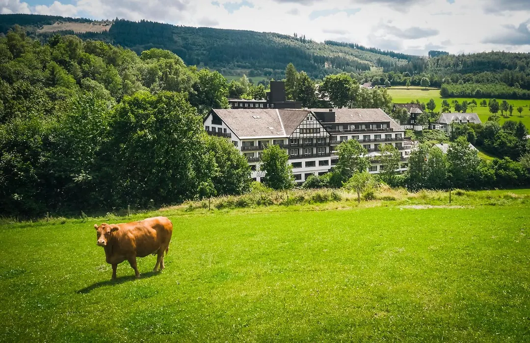 Sauerland Alpin Hotel-1