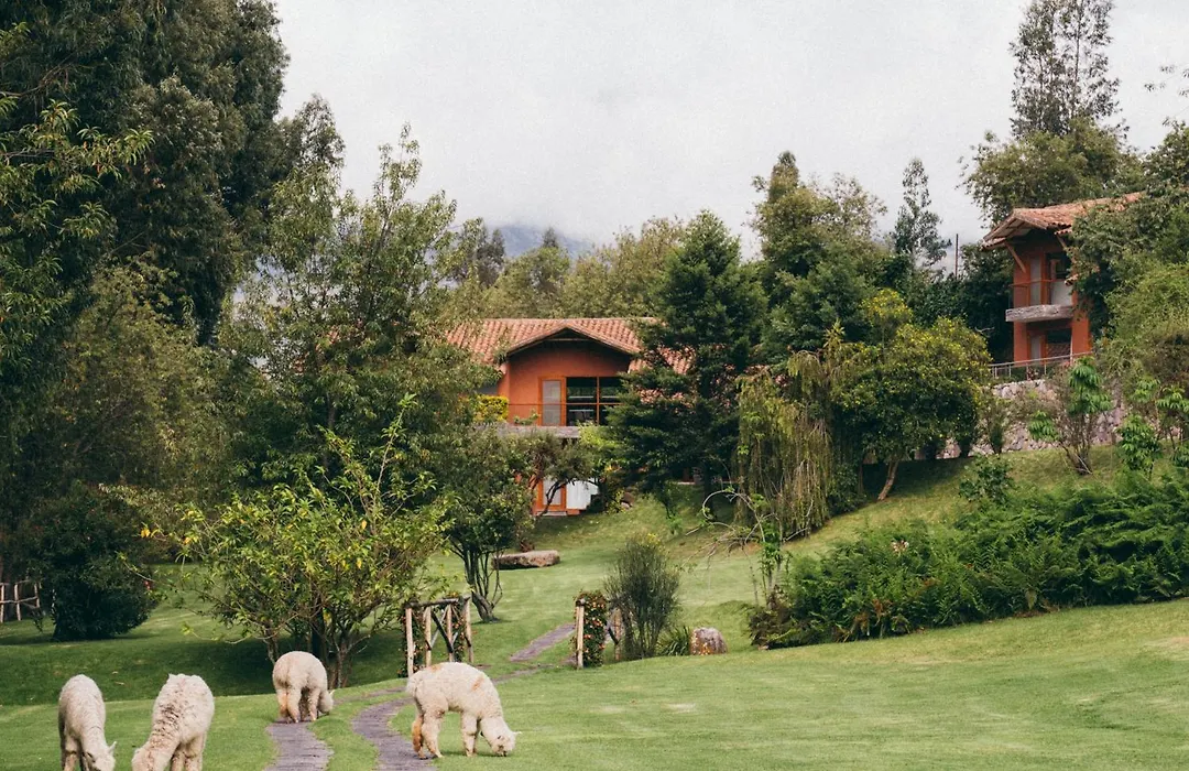 Rio Sagrado, A Belmond Hotel, Sacred Valley-1