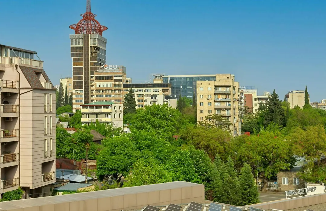 Sheraton Grand Tbilisi Metechi Palace-1