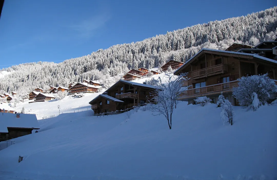 Hotel Les Triolets-1