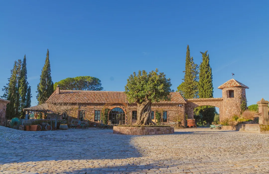 Chateau Saint Roux Le Luc-Le Cannet Des Maures-1