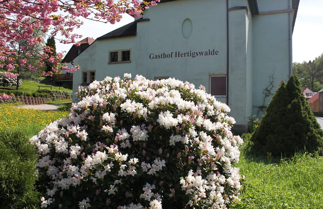 Gasthof Hertigswalde-1