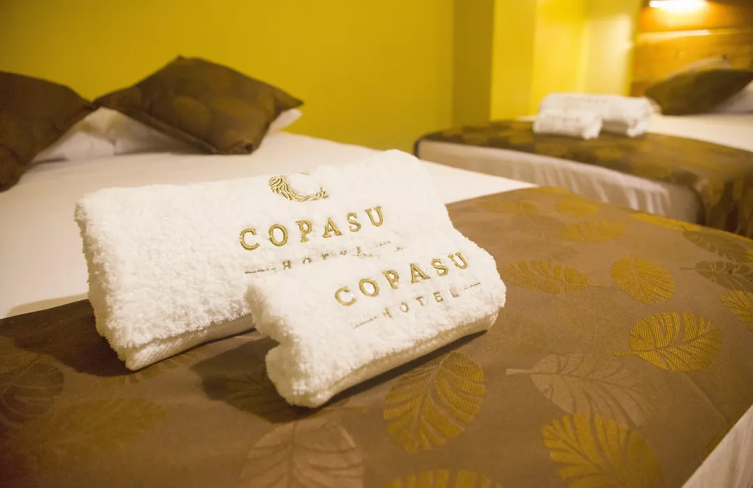 Copasu Hotel-1