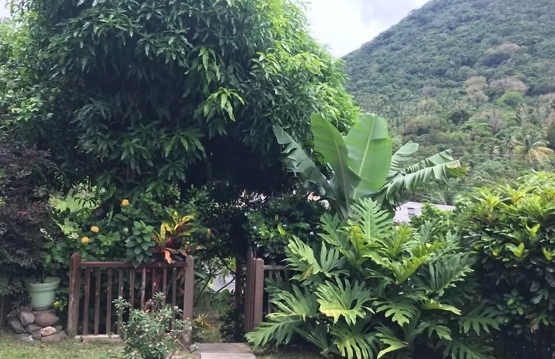 Cocoa Pod Studio-1