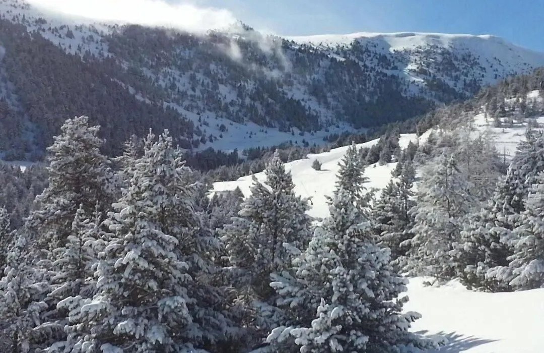 Roca Blanca-1