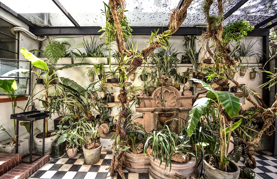 Orchid House Mexico City-1