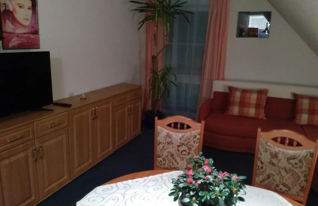 Hotel Rodewisch-1