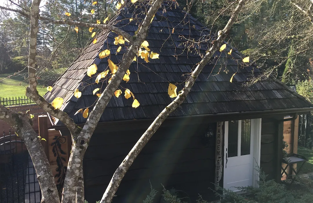 Amante Luxury Bed & Breakfast-1