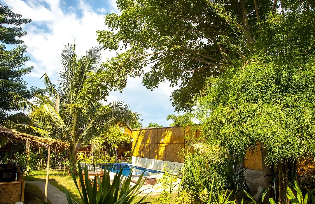 Cotton Tree Cottages-1