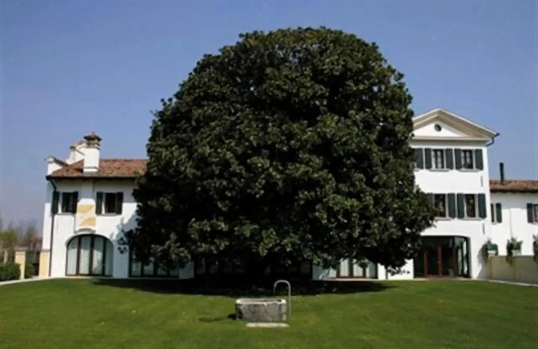 Hotel Fossa Mala-1