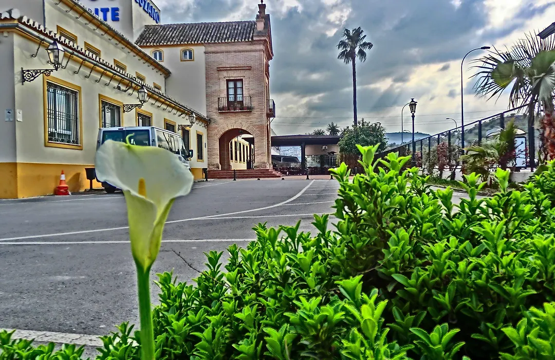 Hotel Lozano-1
