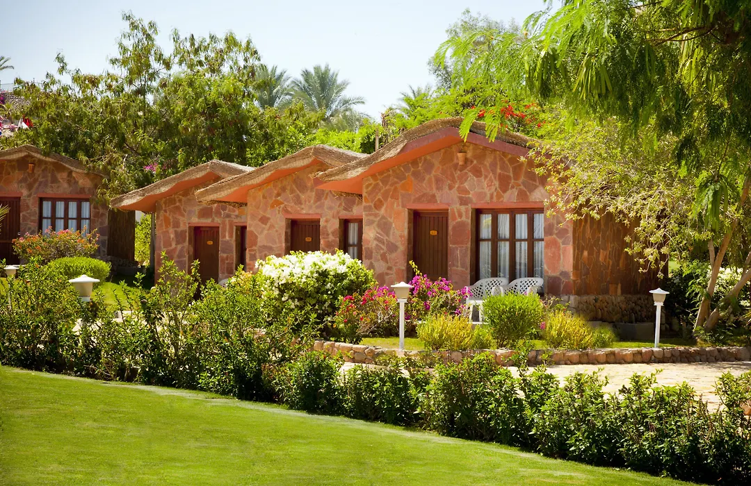 Xperience Hill-Top Beach Resort - Adults Only-1