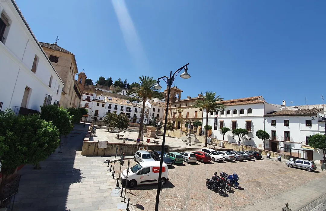 Coso Viejo-1