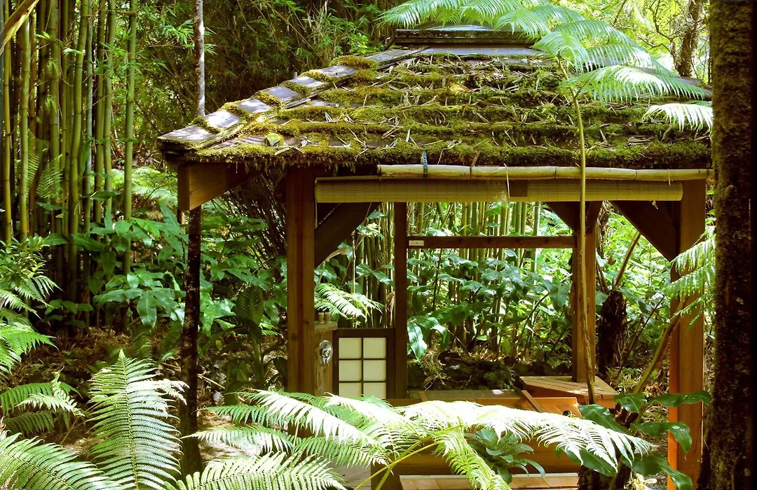 Volcano Rainforest Retreat-1