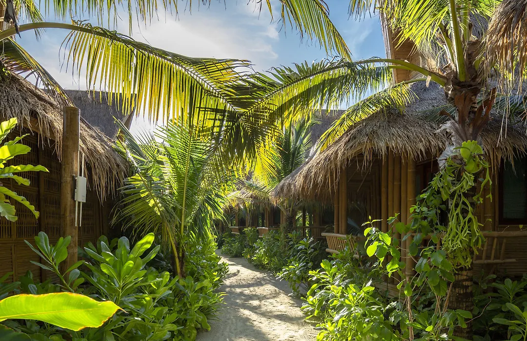 Phi Phi Coco Beach Resort-1