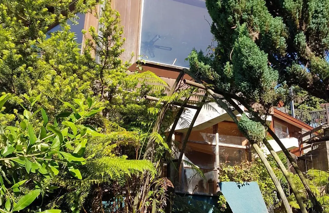 Portal Austral-1