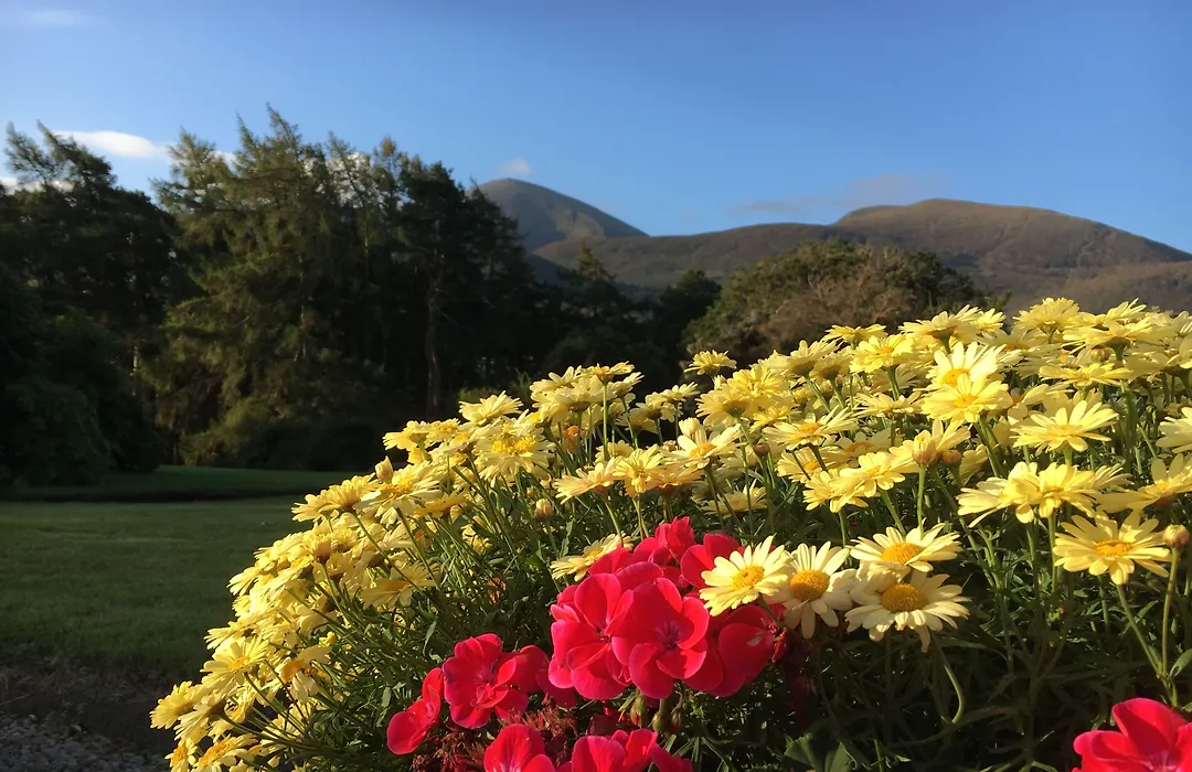 Enniskeen Country House Hotel-1