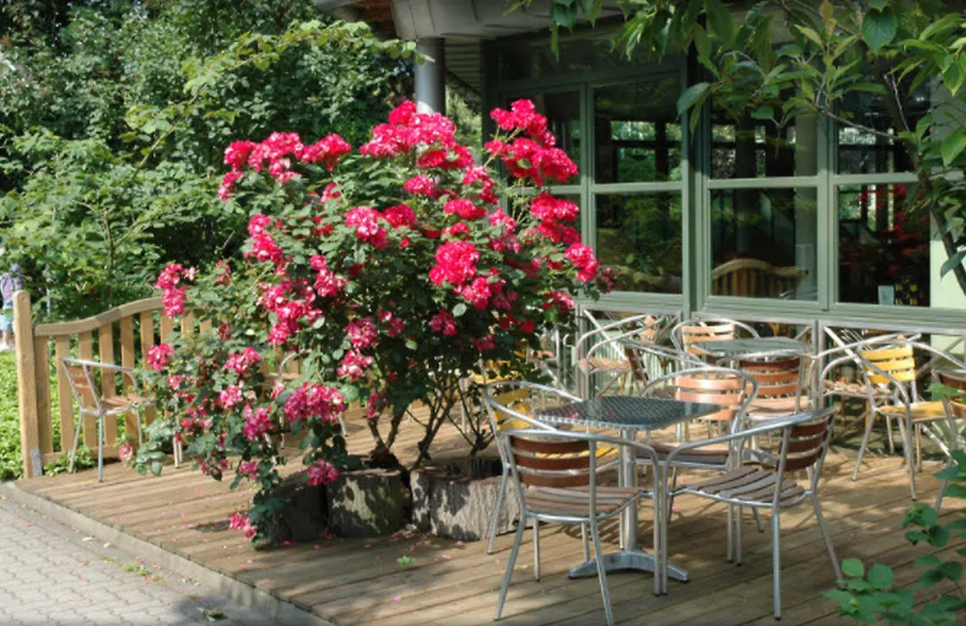 Grandhotel Esplanade-1