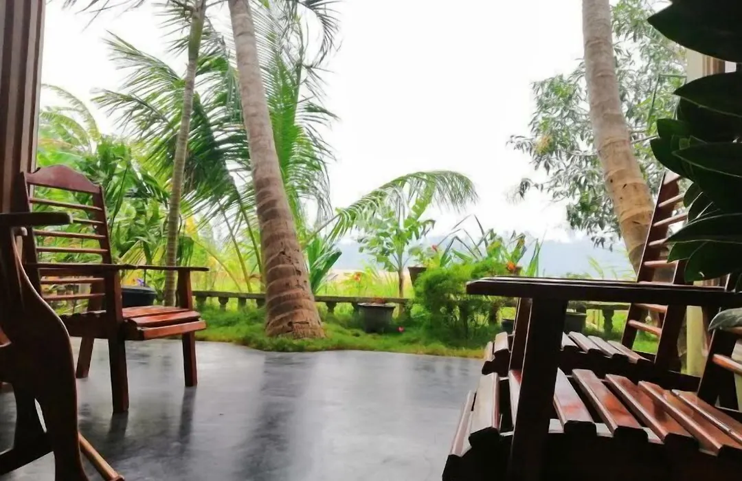 Viveka Inn Guest And Yala Safari-1