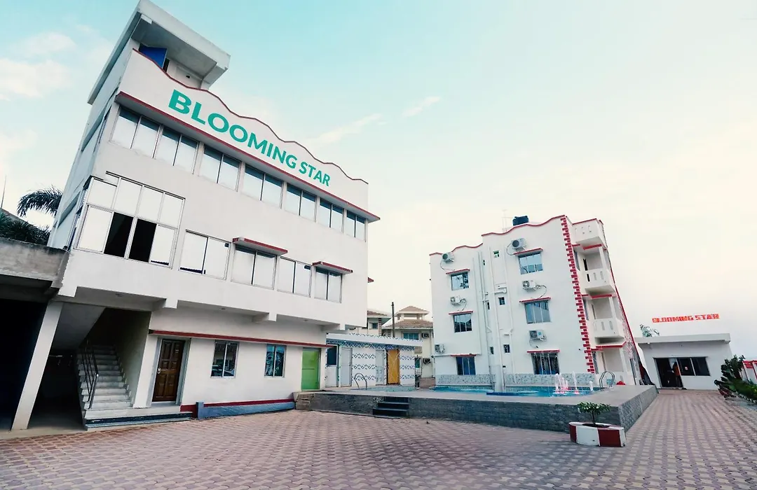 Blooming Star-1