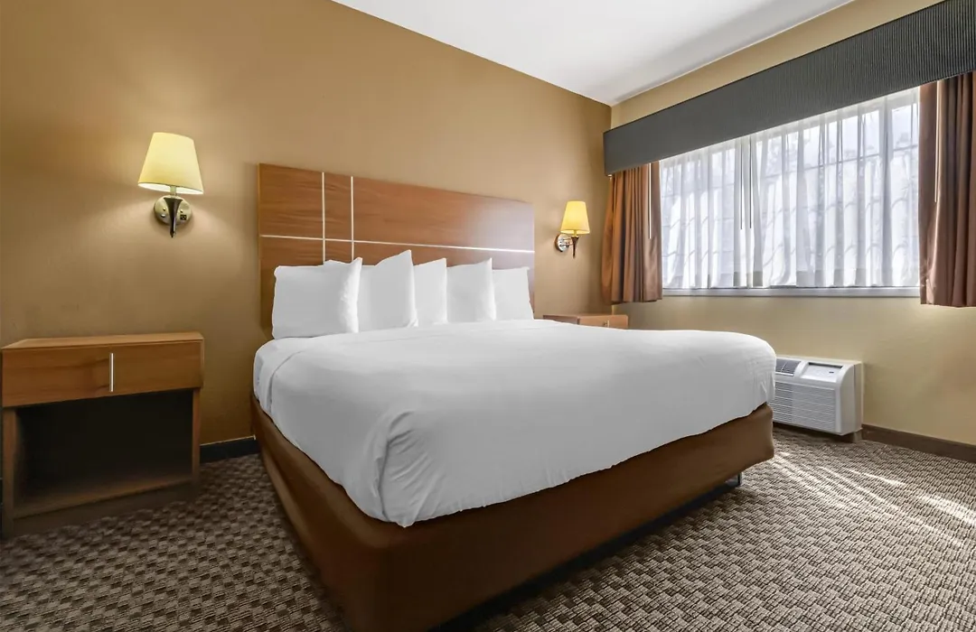 Best Western Plus Shamrock Inn & Suites-1