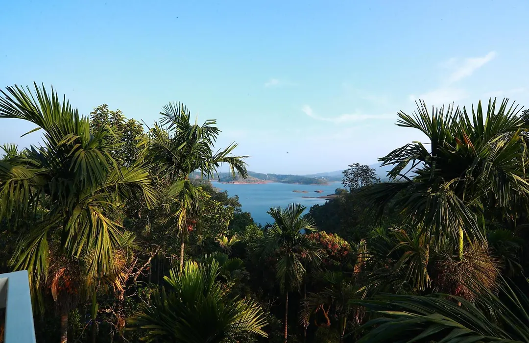 Bonita Banasura-1