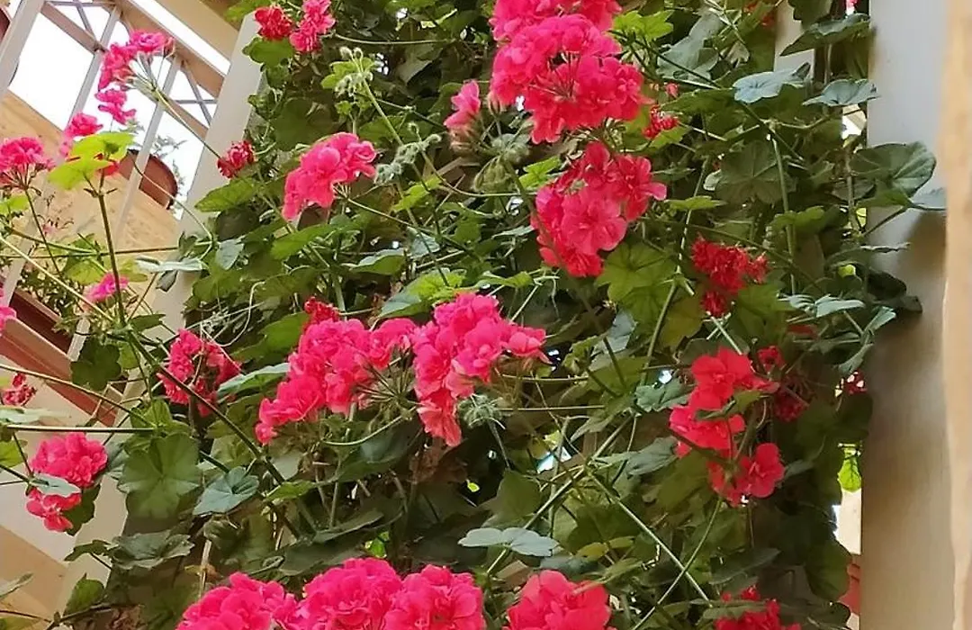 Mary'S House-1