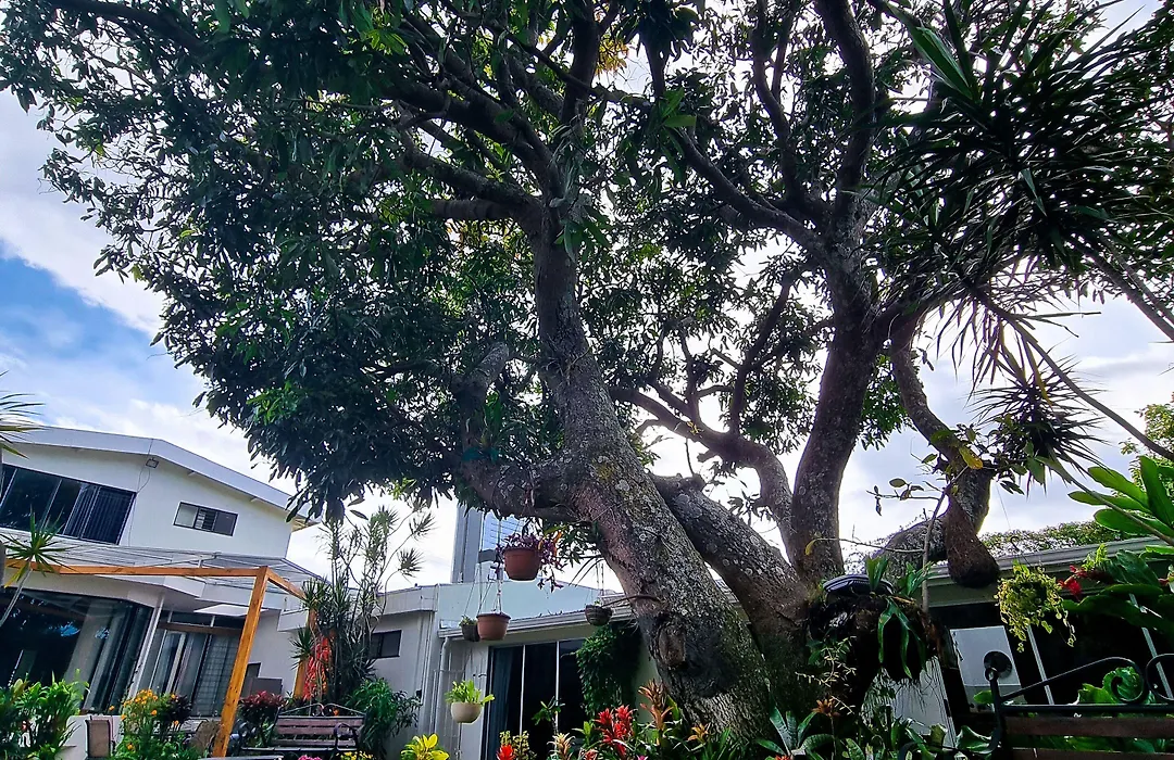 Casa Jardin Del Mango-1