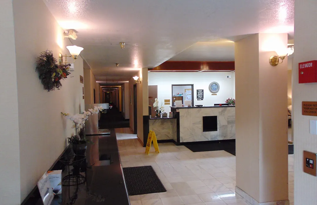 Bellis Inn-1